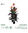 GloboStar® Artificial Garden CANNA INDICA 20209 Τεχνητό Διακοσμητικό Φυτό Ινδική Κάννα Υ160cm